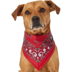 Frisco Red Paisley Dog & Cat Bandana 10 Frisco Red Paisley Dog & Cat Bandana -Pet Cat Shop 267919 PT2. AC SS1800 V1637669854