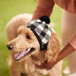 Frisco Plaid Dog & Cat Knitted Hat 9 Frisco Plaid Dog & Cat Knitted Hat -Pet Cat Shop 267925 PT8. AC SS1800 V1629755603