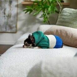 Frisco Colorblock Dog & Cat Hoodie With Sleeves -Pet Cat Shop 267968 PT6. AC SS1800 V1637715446