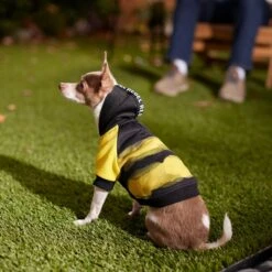 Frisco Rebel Dog & Cat Hoodie -Pet Cat Shop 267994 PT8. AC SS1800 V1629758309