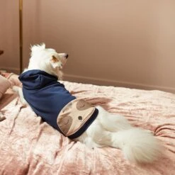 Frisco Sloth Pocket Dog & Cat Lightweight Hoodie -Pet Cat Shop 268018 PT8. AC SS1800 V1629761810