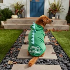 Frisco Doggiesaurus Dog & Cat Hoodie, Green -Pet Cat Shop 268033 PT6. AC SS1800 V1637671011