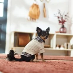 Frisco Cream Cable Knit Dog & Cat Sweater, White/Red Plaid -Pet Cat Shop 268057 PT8. AC SS1800 V1629766069