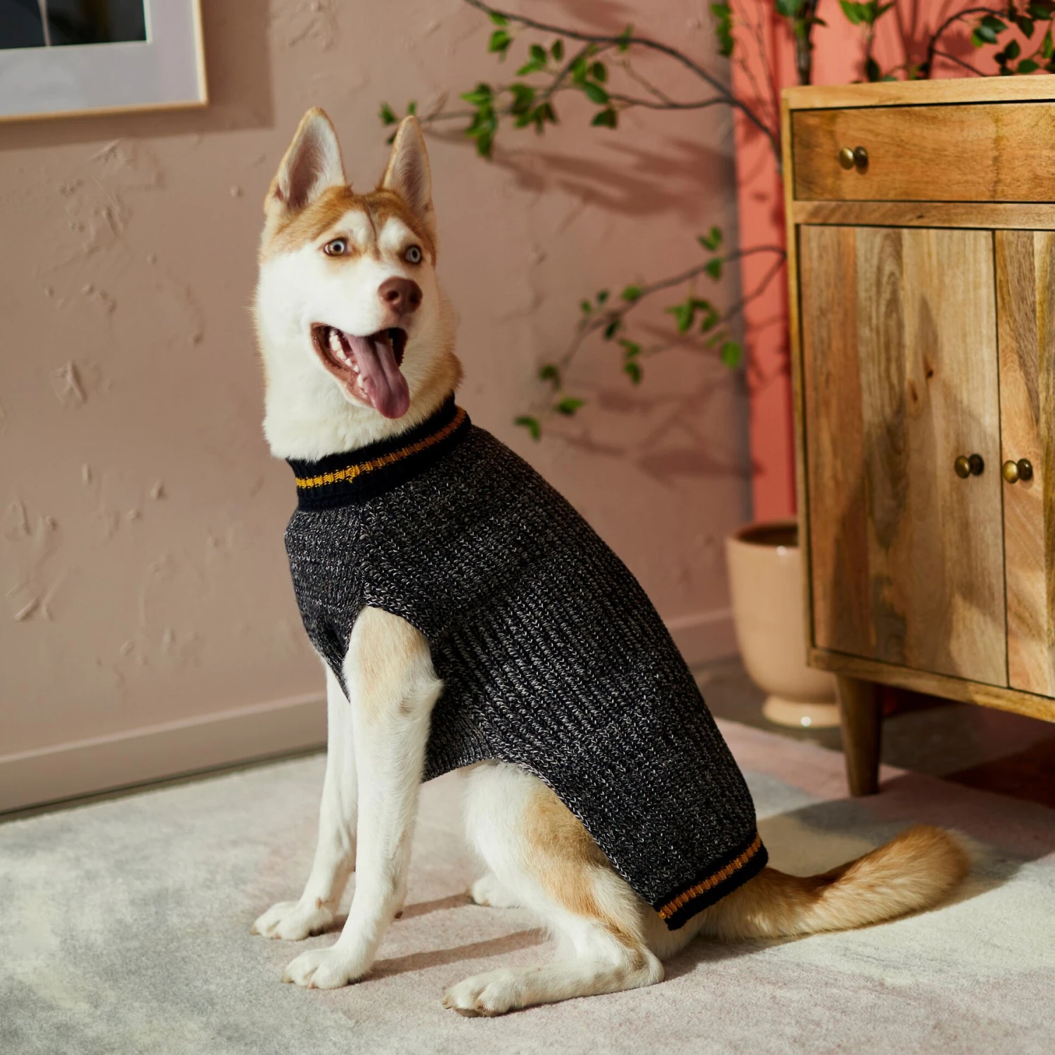 Frisco Heathered Knit Dog & Cat Sweater With 60% Recycled Content 7 Frisco Heathered Knit Dog & Cat Sweater With 60% Recycled Content - Image 7