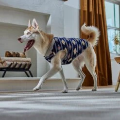 Frisco Lightweight Southwest Dog & Cat Polar Fleece Vest 13 Frisco Lightweight Southwest Dog & Cat Polar Fleece Vest -Pet Cat Shop 268167 PT8. AC SS1800 V1629756292