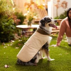 Frisco Mediumweight Cotton Duck Canvas Dog & Cat Jacket, Tan -Pet Cat Shop 268223 PT8. AC SS1800 V1629767022