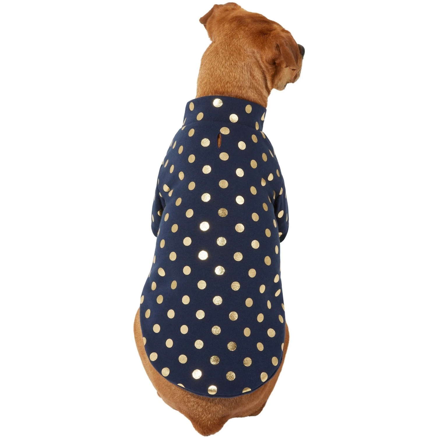 Frisco Lightweight Gold Dotted Dog & Cat Jacket, Navy 1 Frisco Lightweight Gold Dotted Dog & Cat Jacket, Navy