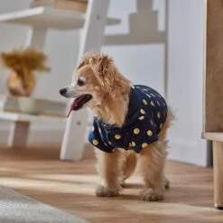 Frisco Lightweight Gold Dotted Dog & Cat Jacket, Navy 13 Frisco Lightweight Gold Dotted Dog & Cat Jacket, Navy -Pet Cat Shop 268247 PT8. AC SS1800 V1629758988