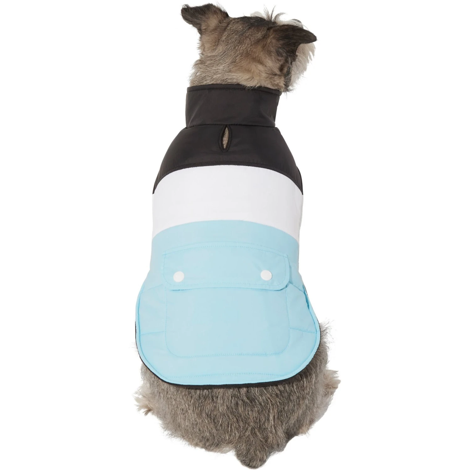Frisco Mediumweight Colorblock Insulated Dog & Cat Puffer Coat With Pocket, Blue 1 Frisco Mediumweight Colorblock Insulated Dog & Cat Puffer Coat With Pocket, Blue