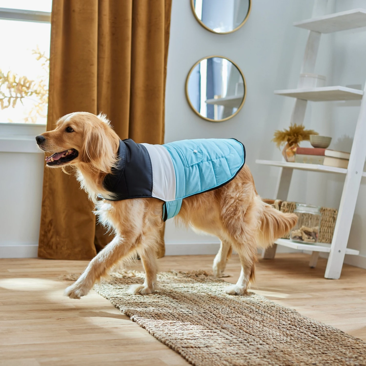 Frisco Mediumweight Colorblock Insulated Dog & Cat Puffer Coat With Pocket, Blue 7 Frisco Mediumweight Colorblock Insulated Dog & Cat Puffer Coat With Pocket, Blue - Image 7