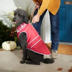 Frisco Mediumweight Reflective Water-Resistant Insulated Dog & Cat Coat 13 Frisco Mediumweight Reflective Water-Resistant Insulated Dog & Cat Coat -Pet Cat Shop 268342 PT8. AC SS1800 V1629764397