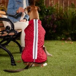 Frisco Mediumweight Reflective 2-in-1 Dog & Cat Fleece Coat 11 Frisco Mediumweight Reflective 2-in-1 Dog & Cat Fleece Coat -Pet Cat Shop 268359 PT8. AC SS1800 V1629759326