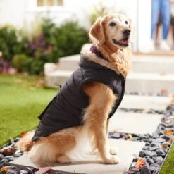 Frisco Mid-Heavyweight Cinching Insulated Dog & Cat Parka, Black/Red Plaid -Pet Cat Shop 268382 PT8. AC SS1800 V1629762008