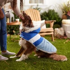 Frisco Heavyweight Chevron Insulated Dog & Cat Parka With Pocket -Pet Cat Shop 268405 PT8. AC SS1800 V1629766395