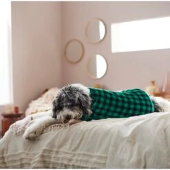 Frisco Dog & Cat Cozy Plush Fleece PJs, Green Plaid -Pet Cat Shop 268517 PT8. AC SS1800 V1629755447