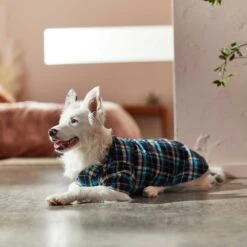 Frisco Multi-Plaid Dog & Cat Flannel Shirt -Pet Cat Shop 268588 PT7. AC SS1800 V1637674022