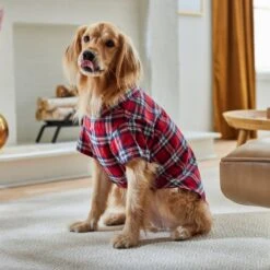 Frisco Red Plaid Dog & Cat Shirt -Pet Cat Shop 268604 PT8. AC SS1800 V1629757681