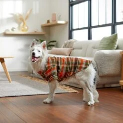 Frisco Orange & Olive Plaid Dog & Cat Flannel Shirt -Pet Cat Shop 268612 PT7. AC SS1800 V1637721727