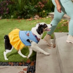 Frisco Chambray Plaid Dog & Cat Dress -Pet Cat Shop 268637 PT8. AC SS1800 V1629757964