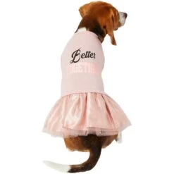 Frisco Better Together Dog & Cat Dress -Pet Cat Shop 268652 PT2. AC SS1800 V1637672268