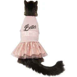 Frisco Better Together Dog & Cat Dress -Pet Cat Shop 268652 PT3. AC SS1800 V1637668331