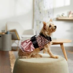Frisco Pink Cheetah Dog & Cat Dress -Pet Cat Shop 268661 PT6. AC SS1800 V1637672527