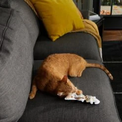 Frisco Halloween Good Witch, Bad Witch Reversible Plush Cat Toy With Catnip -Pet Cat Shop 270301 PT3. AC SS1800 V1624824841