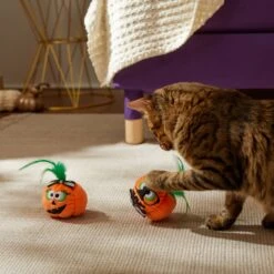 Frisco Halloween Nerdy Jack-o-Lanterns Plush Cat Toy With Catnip, 2 Count -Pet Cat Shop 270313 PT3. AC SS1800 V1624824951