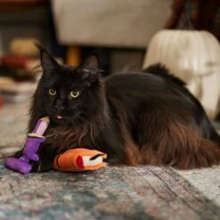 Frisco Halloween Enchanted Book & Candle Plush Cat Toy With Catnip, 2 Count -Pet Cat Shop 270321 PT3. AC SS1800 V1689878926