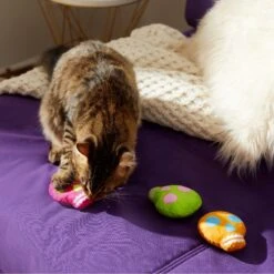 Frisco Colorful Skulls Plush Cat Toy With Catnip, 3 Count -Pet Cat Shop 270325 PT3. AC SS1800 V1630350992