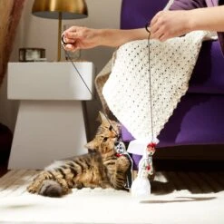 Frisco Sugar Skull Bride & Groom Bouncy Cat Toy With Catnip, 2 Count -Pet Cat Shop 270343 PT3. AC SS1800 V1624817778