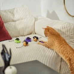 Frisco Halloween Bat Mice Plush Cat Toy With Catnip -Pet Cat Shop 270353 PT3. AC SS1800 V1624817260