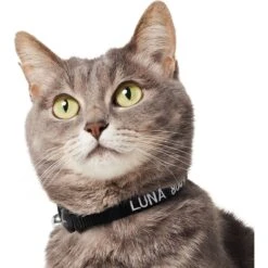 Frisco Nylon Personalized Breakaway Cat Collar With Bell 9 Frisco Nylon Personalized Breakaway Cat Collar With Bell -Pet Cat Shop 270731 PT3. AC SS1800 V1618936954