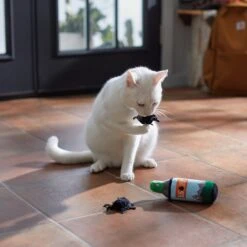 Frisco Camping Bug Spray Plush Cat Toy With Catnip, 3 Count -Pet Cat Shop 270969 PT3. AC SS1800 V1625009346