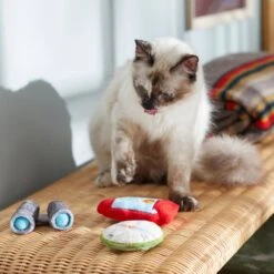 Frisco Camping Compass & Lantern Plush Cat Toy With Catnip, 2 Count 5 Frisco Camping Compass & Lantern Plush Cat Toy With Catnip, 2 Count -Pet Cat Shop 270985 PT3. AC SS1800 V1625009053