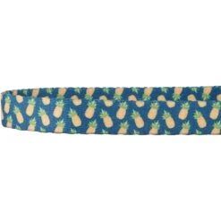 Frisco Pineapple Polyester Personalized Breakaway Cat Collar With Bell 9 Frisco Pineapple Polyester Personalized Breakaway Cat Collar With Bell -Pet Cat Shop 271597 PT3. AC SS1800 V1618937222