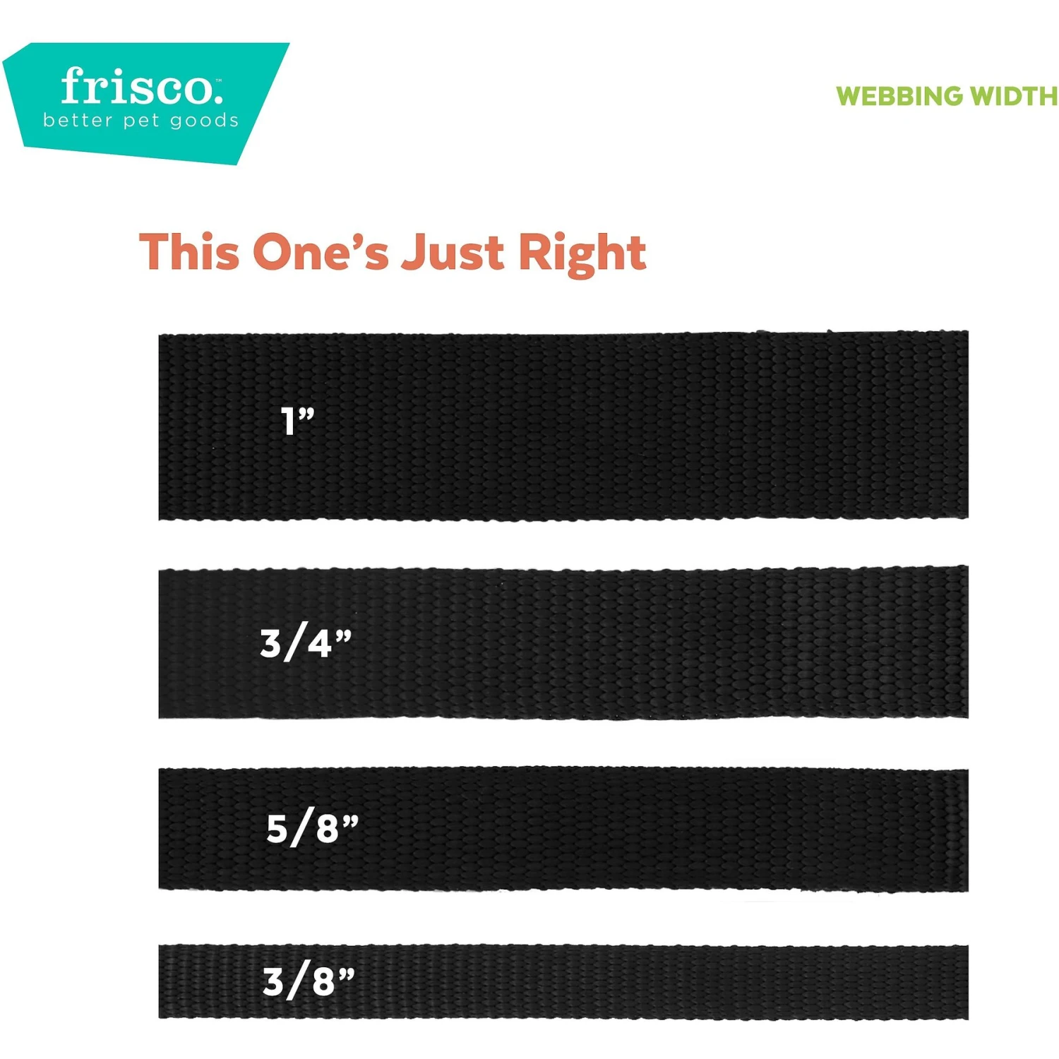 Frisco Pineapple Polyester Personalized Breakaway Cat Collar With Bell 6 Frisco Pineapple Polyester Personalized Breakaway Cat Collar With Bell - Image 6