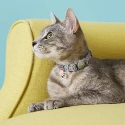 Frisco Rose Polyester Personalized Breakaway Cat Collar With Bell 10 Frisco Rose Polyester Personalized Breakaway Cat Collar With Bell -Pet Cat Shop 271600 PT4. AC SS1800 V1618936952
