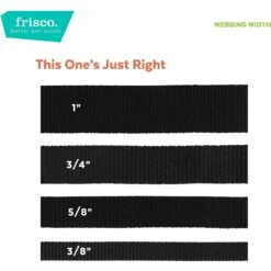 Frisco Rose Polyester Personalized Breakaway Cat Collar With Bell 11 Frisco Rose Polyester Personalized Breakaway Cat Collar With Bell -Pet Cat Shop 271600 PT6. AC SS1800 V1629992541