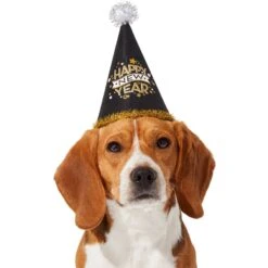 Frisco Happy New Year Dog & Cat Hat -Pet Cat Shop 276190 PT2. AC SS1800 V1631303599