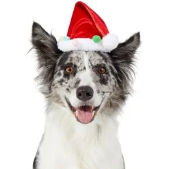 Frisco Holiday Poms Dog & Cat Santa Hat -Pet Cat Shop 276194 PT2. AC SS1800 V1631303507