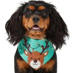 Frisco Peekaboo Reindeer Dog & Cat Bandana -Pet Cat Shop 276198 PT3. AC SS1800 V1637687013