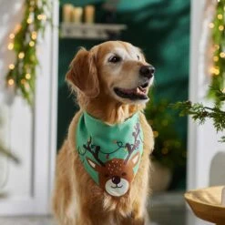 Frisco Peekaboo Reindeer Dog & Cat Bandana -Pet Cat Shop 276198 PT5. AC SS1800 V1637644939