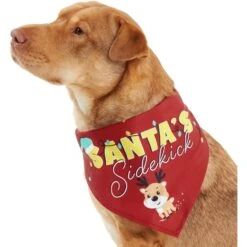 Frisco Santa's Sidekick Dog & Cat Bandana -Pet Cat Shop 276204 PT2. AC SS1800 V1637653065