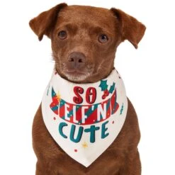 Frisco So Elf'n Cute Dog & Cat Bandana -Pet Cat Shop 276276 PT2. AC SS1800 V1637682999