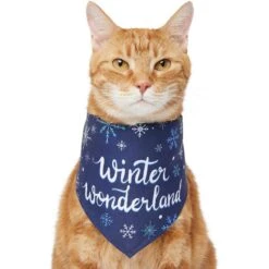 Frisco Winter Wonderland Dog & Cat Bandana -Pet Cat Shop 276279 PT2. AC SS1800 V1637675218