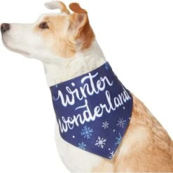 Frisco Winter Wonderland Dog & Cat Bandana -Pet Cat Shop 276279 PT3. AC SS1800 V1637688134