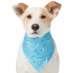 Frisco Festive Hanukkah Dog & Cat Bandana -Pet Cat Shop 276282 PT3. AC SS1800 V1637673704