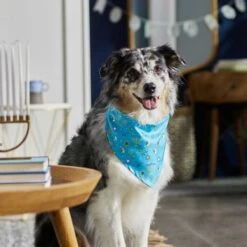 Frisco Festive Hanukkah Dog & Cat Bandana -Pet Cat Shop 276282 PT5. AC SS1800 V1637653030