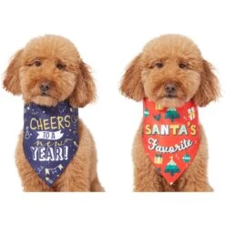Frisco Santa's Favorite & Cheers To The New Year Dog & Cat Reversible Bandana 11 Frisco Santa's Favorite & Cheers To The New Year Dog & Cat Reversible Bandana -Pet Cat Shop 276285 PT2. AC SS1800 V1637719891